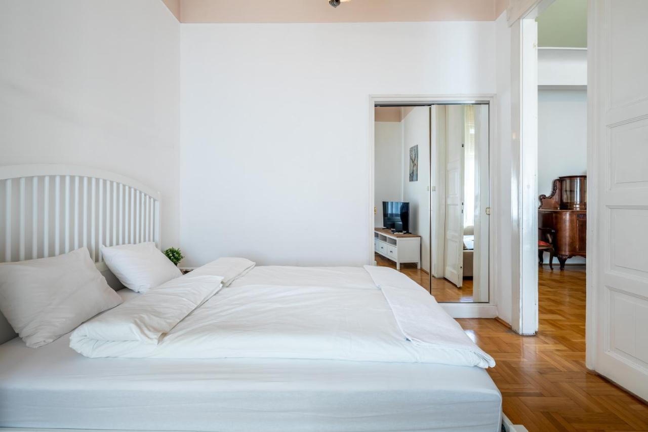 Huge Apartment In The City Center Budapest Exterior foto
